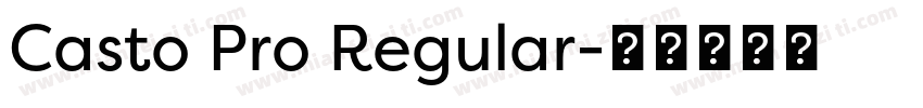 Casto Pro Regular字体转换